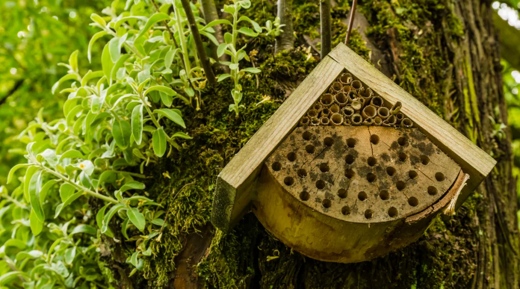 DIY Bee House