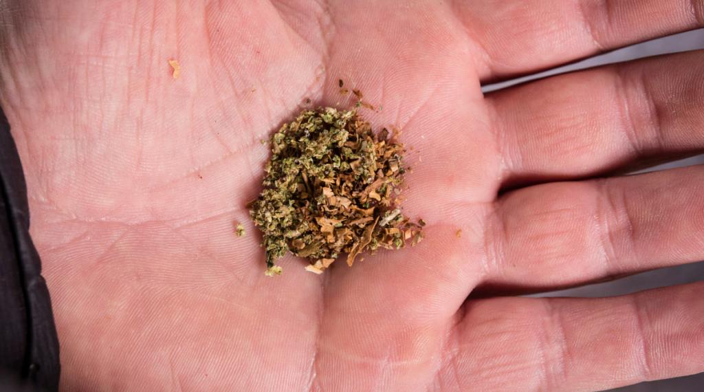 Dried Weed Medical Cannabis