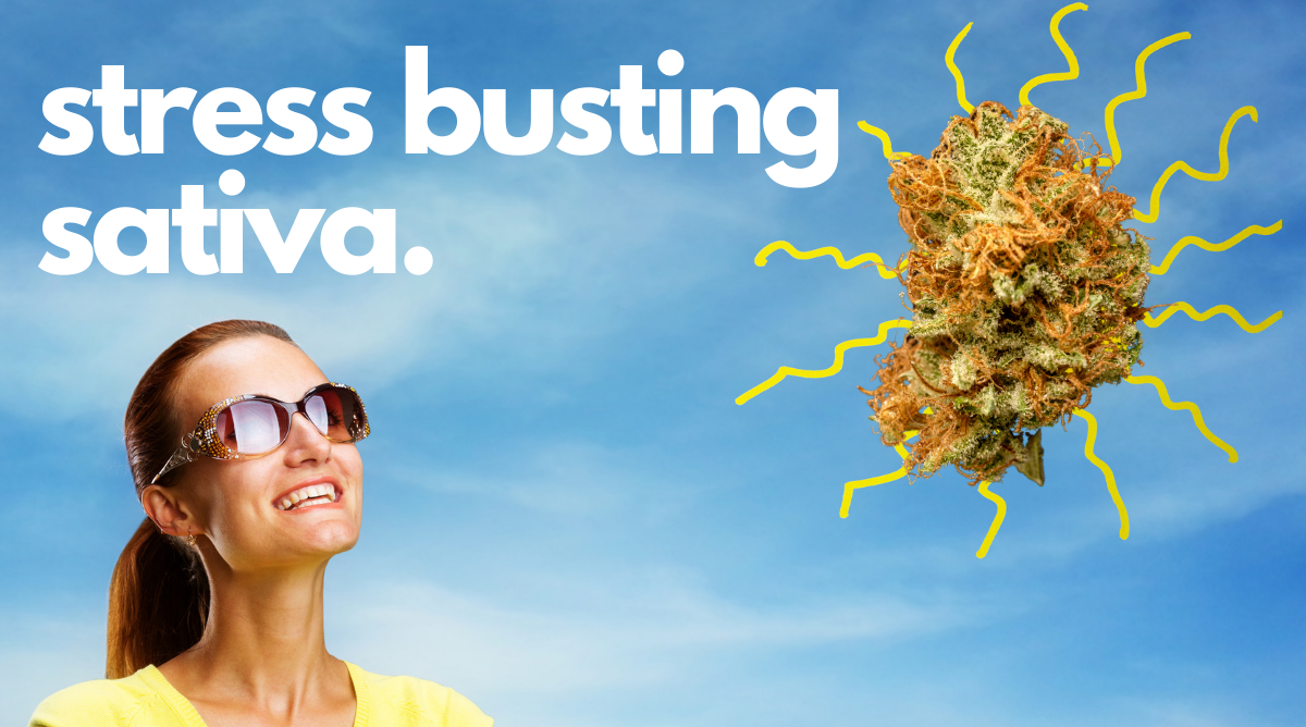 Bust Pandemic Stress With Sativa’s