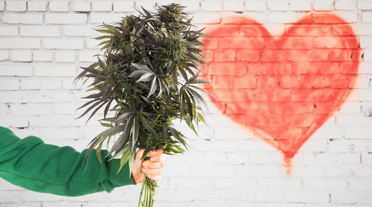 Self care sunday marijuana doctors valentine's day