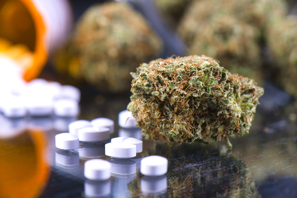 cannabis drug interactions prescriptions