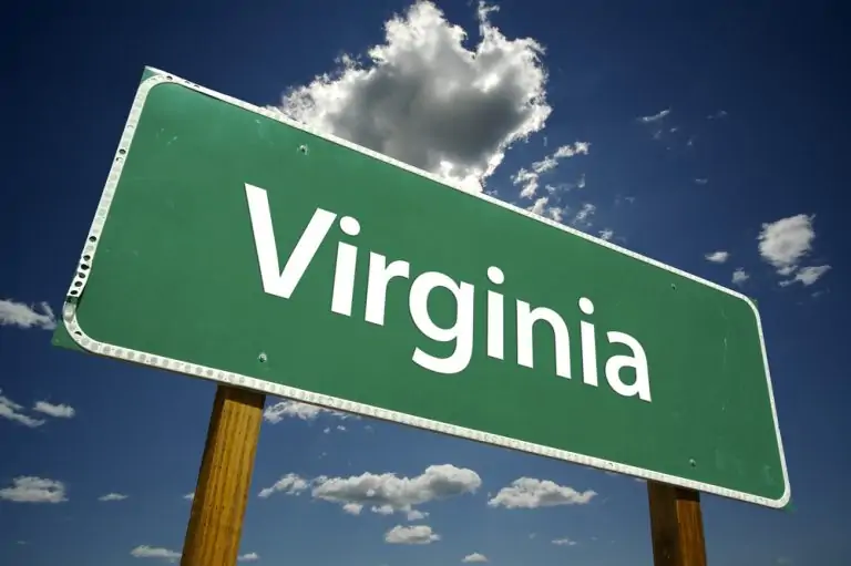 Virginia Pushes Back Cannabis Legalization to 2024