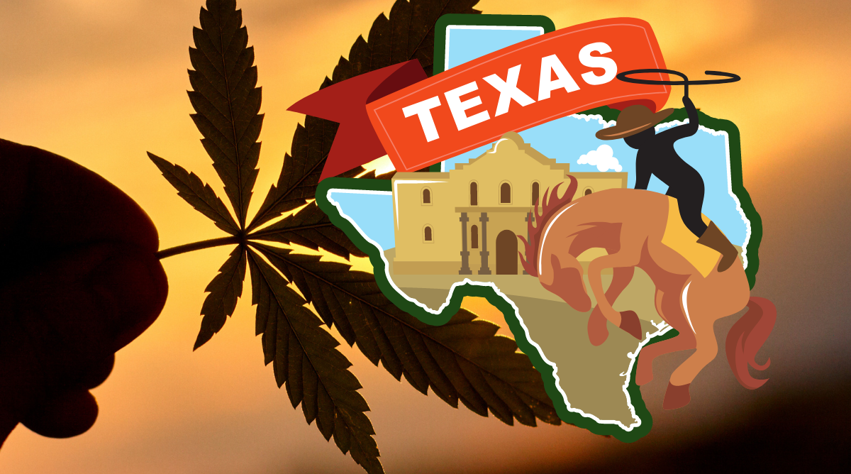 Texas marijuana laws