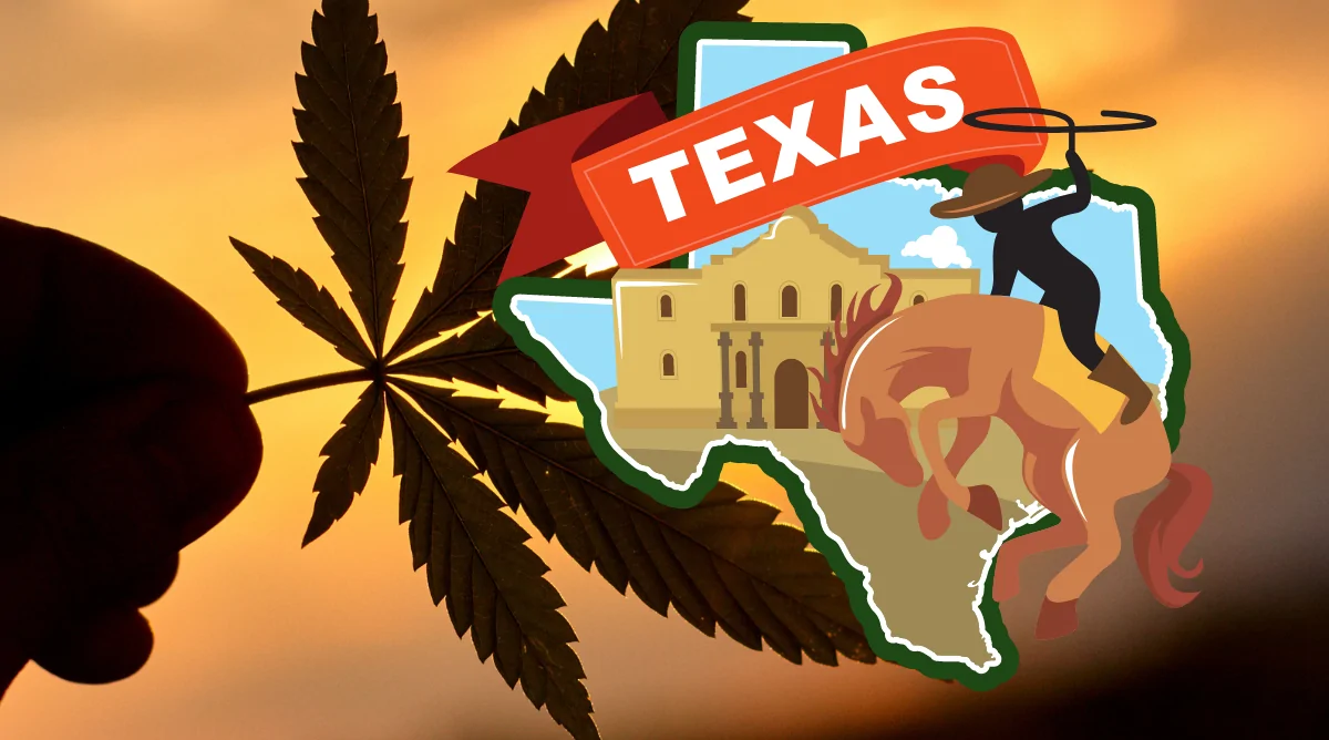 Medical Marijuana in TX (Summer 2021 Update)