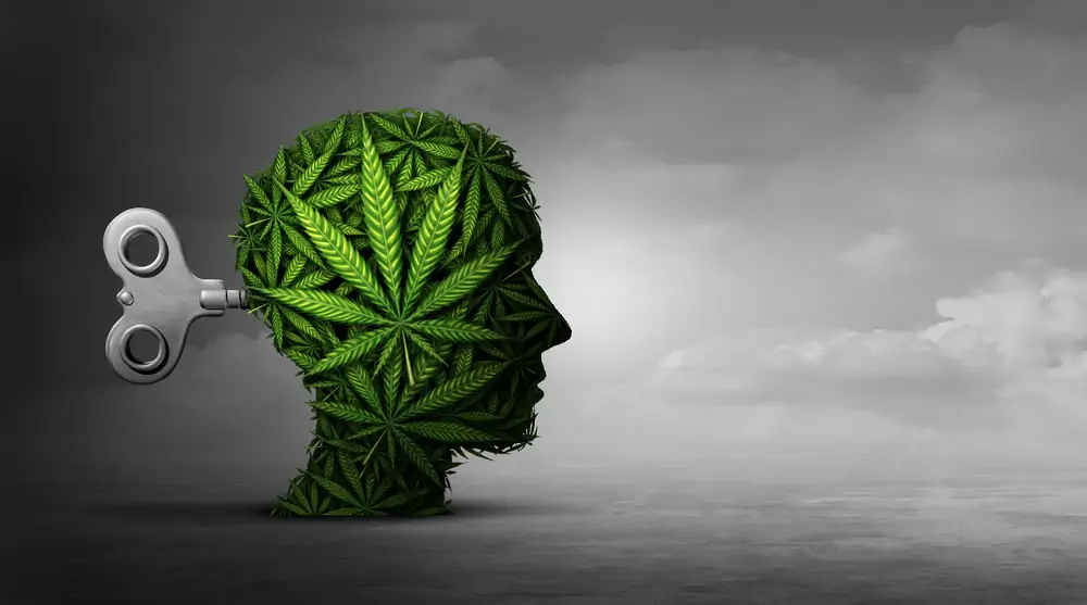 Cannabis And Mental Function