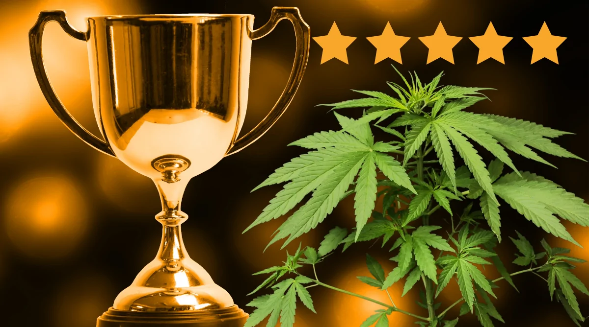 Weed Like to Review: Top Strains of 2020
