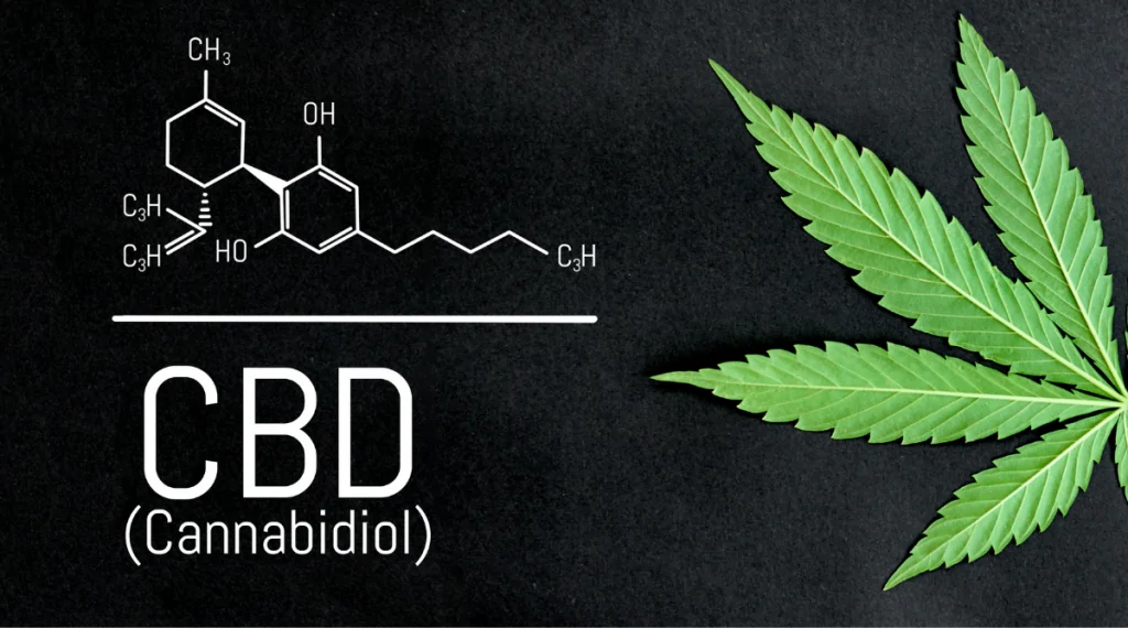 CBD Liver Damage Study MarijuanaDoctors.com