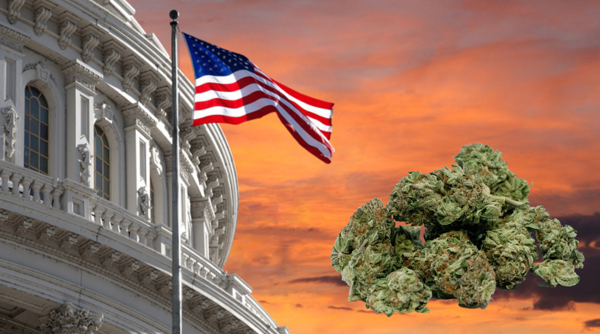 Federal Decriminalization of Cannabis