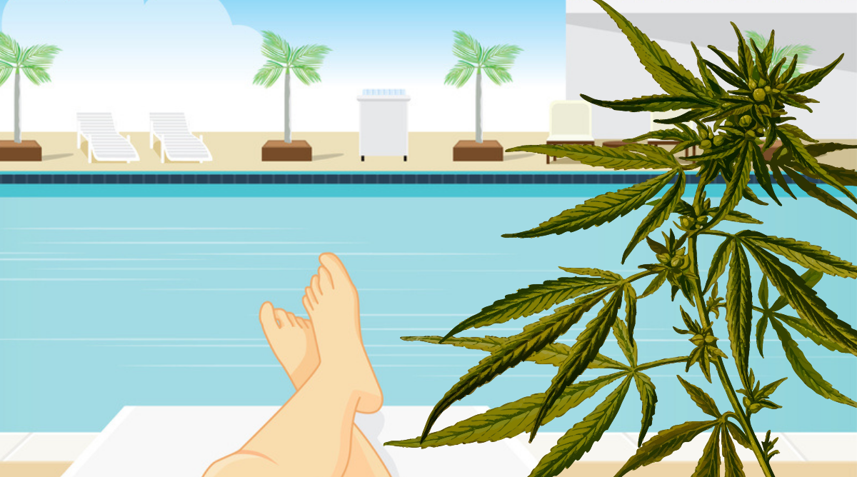 marijuana strains long weekend holiday medical cards online