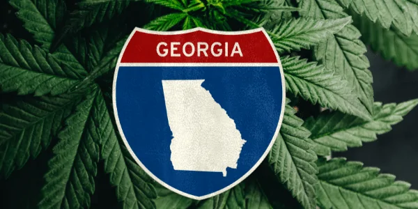 Georgia Cannabis Licenses