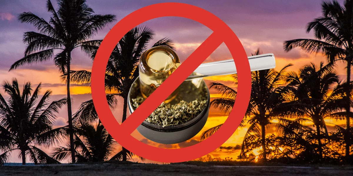 Did Hawaii Ban Smokable Hemp to Curb Delta-8?