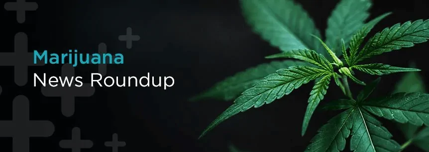 Marijuana News Round-Up September 10, 2021