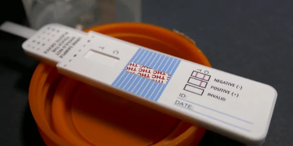 drug testing cannabis work 