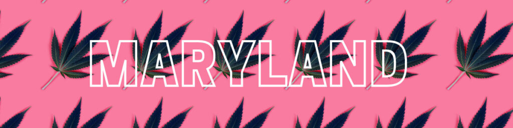 Maryland Marijuana Vote