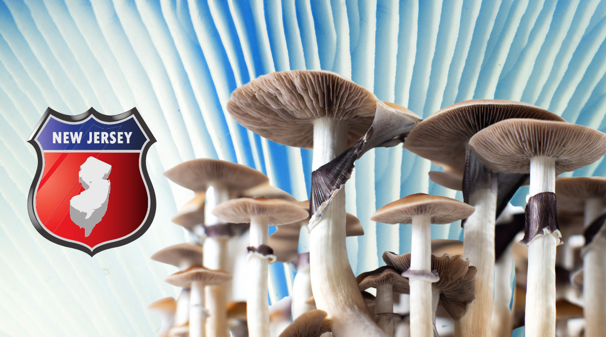 Psilocybin Penalty in New Jersey Reduced to Disorderly Conduct
