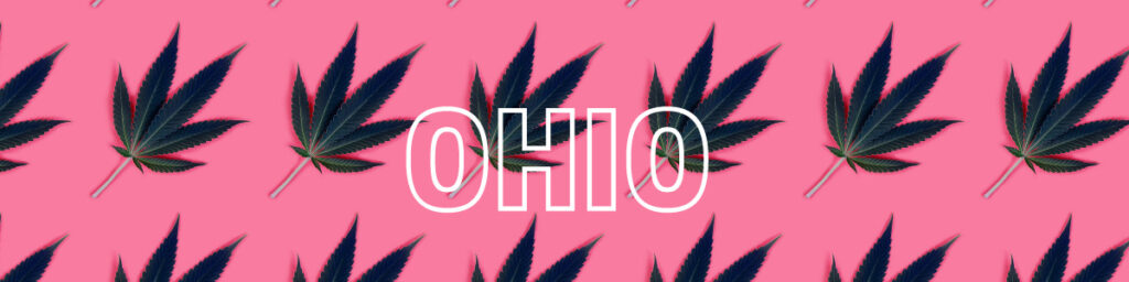 OHIO Marijuana Vote 