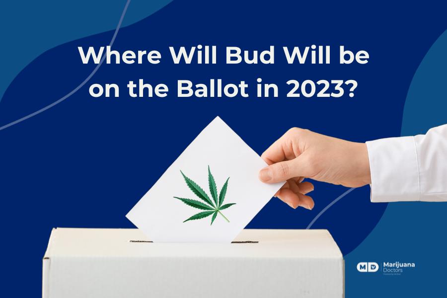 Cannabis on the Ballot: What to Know Before Tuesday’s Election