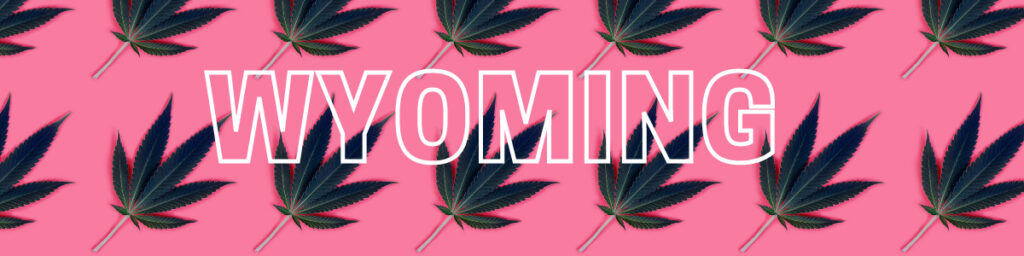 Wyoming Marijuana Vote