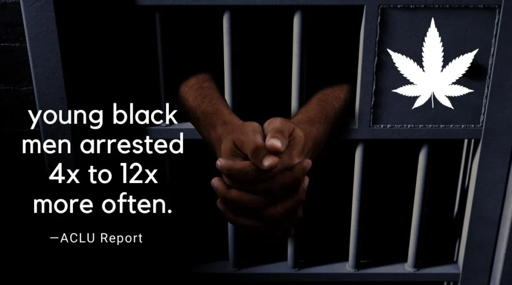 Black arrest rate higher for cannabis