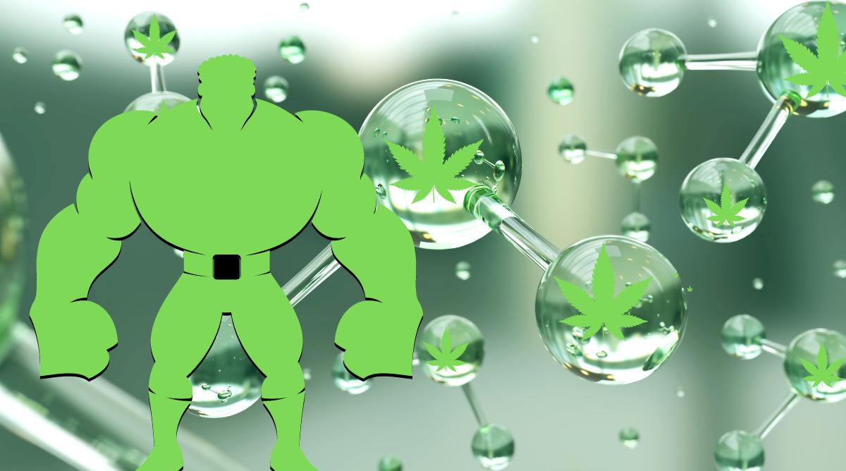 HHC Is the New Hulk of THC