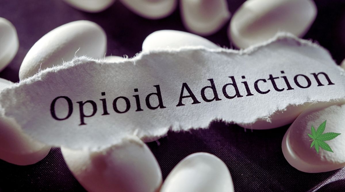 Opioid overdose deaths USA