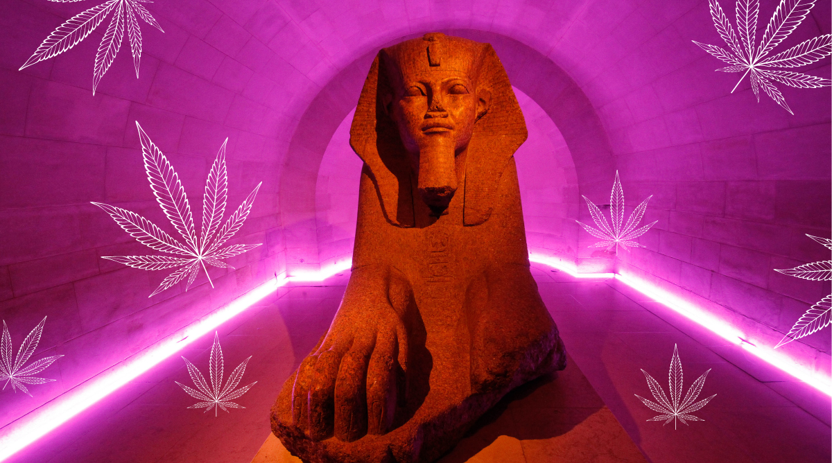 Cannabis Egyptian Medicine