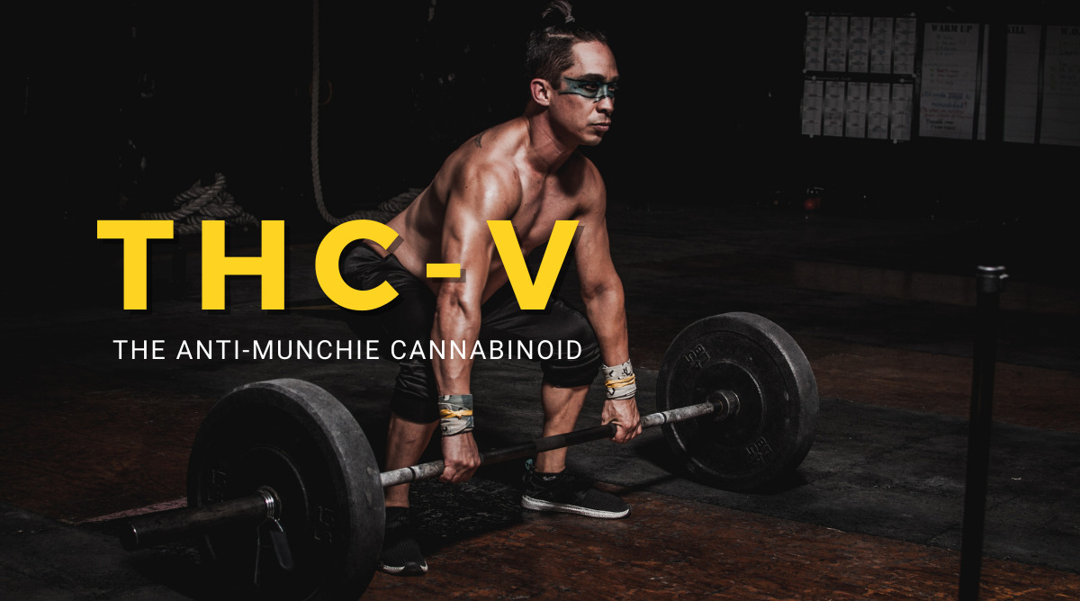 Does THC-V Hold the Key to Weight-Loss?
