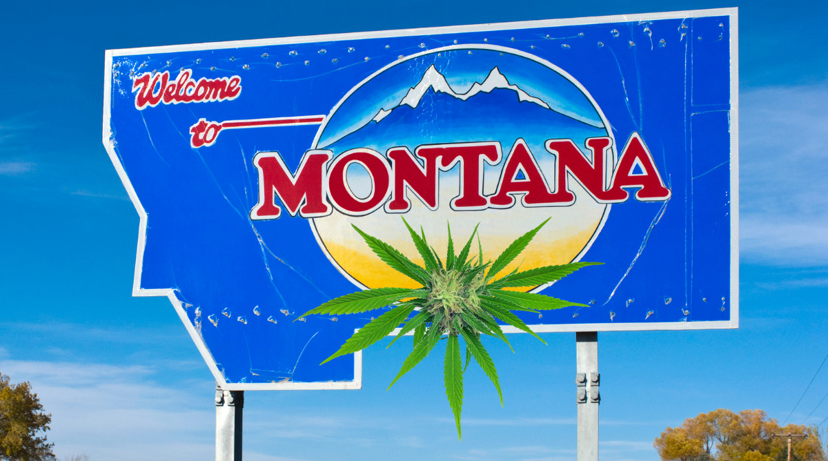Montana Recreational Cannabis Laws