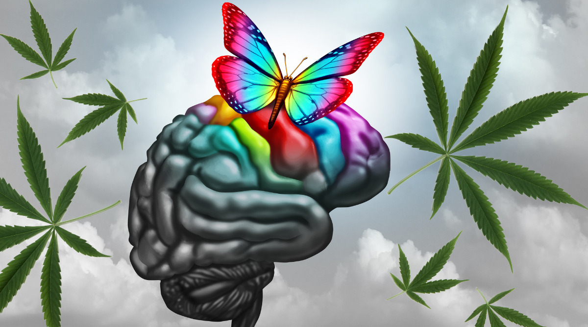 cannabis for creativity