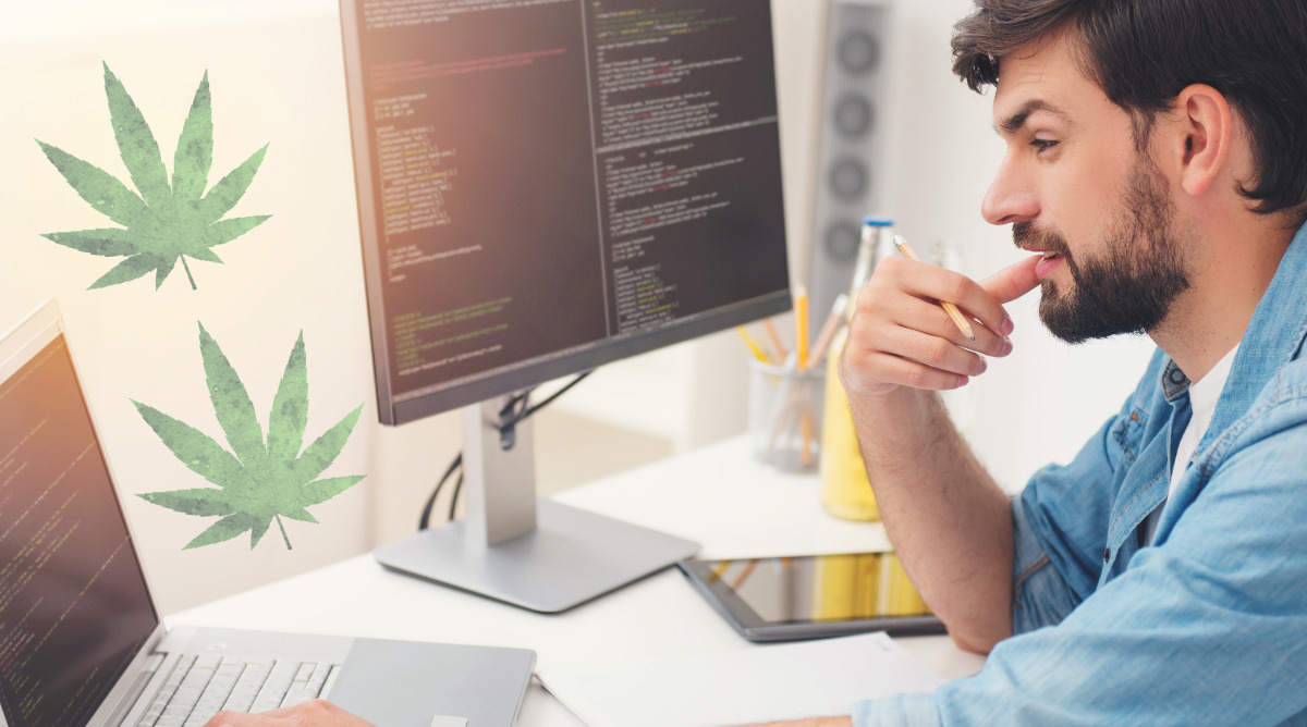 More Than 30% of Techies Use Cannabis to Code: New Study
