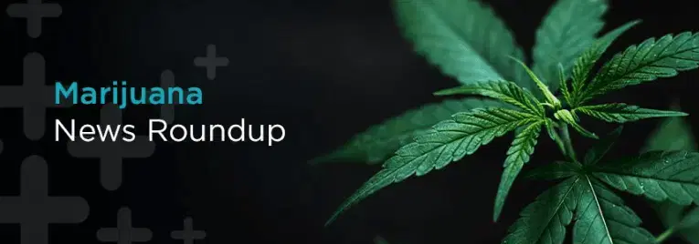 Marijuana News Round Up