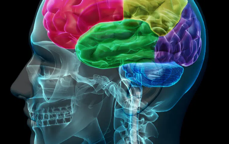 The Effects of Cannabis on the Brain’s Pain Center