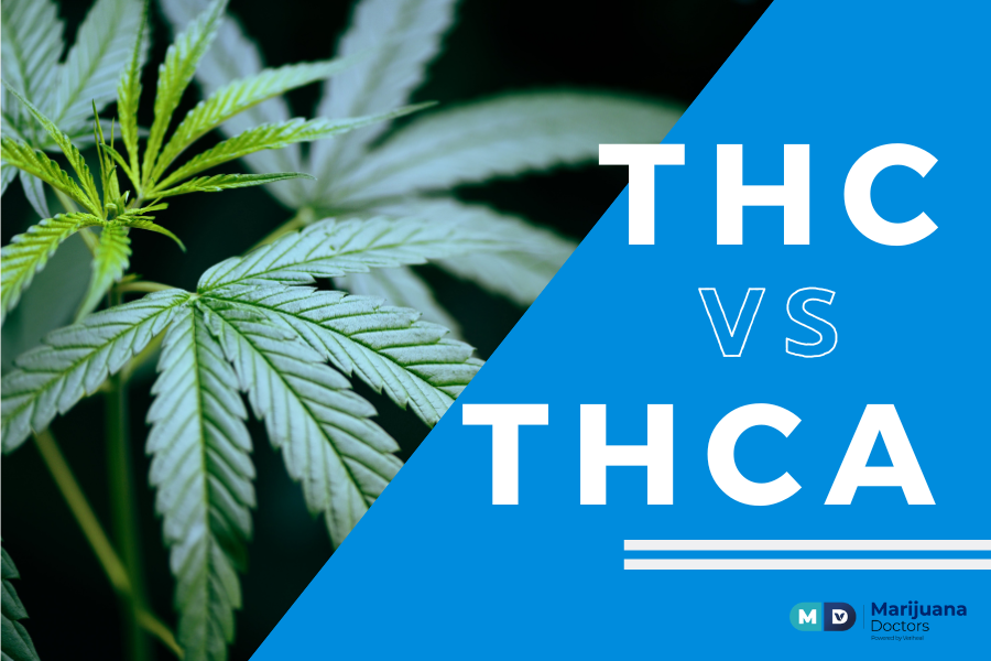 THC vs THCA cannabis leaf