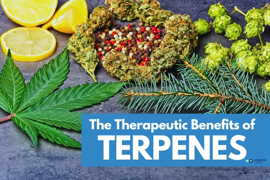 Terpenes Pine, Pepper, and Lemon Image