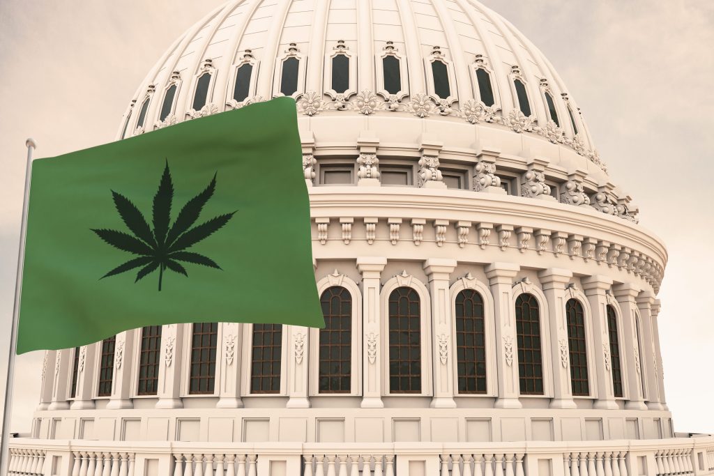 capitol building with cannabis flag
