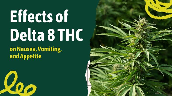 Delta-8-THC-for-Nausea-Flower-Graphic