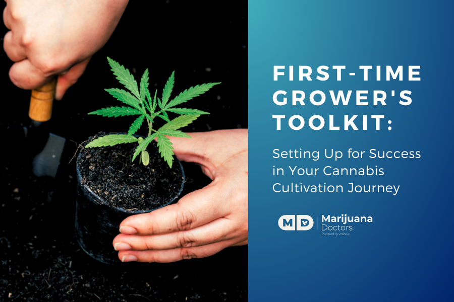 First-Time Grower’s Toolkit: Setting Up for Success in Growing Cannabis