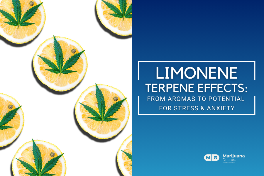 Limonene Terpene Effects: From Aromas to Potential for Stress and Anxiety