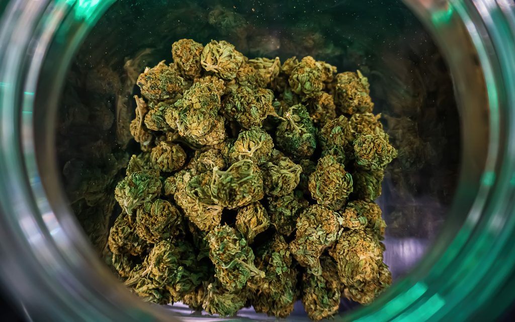 marijuana hemp flower buds in glass jar