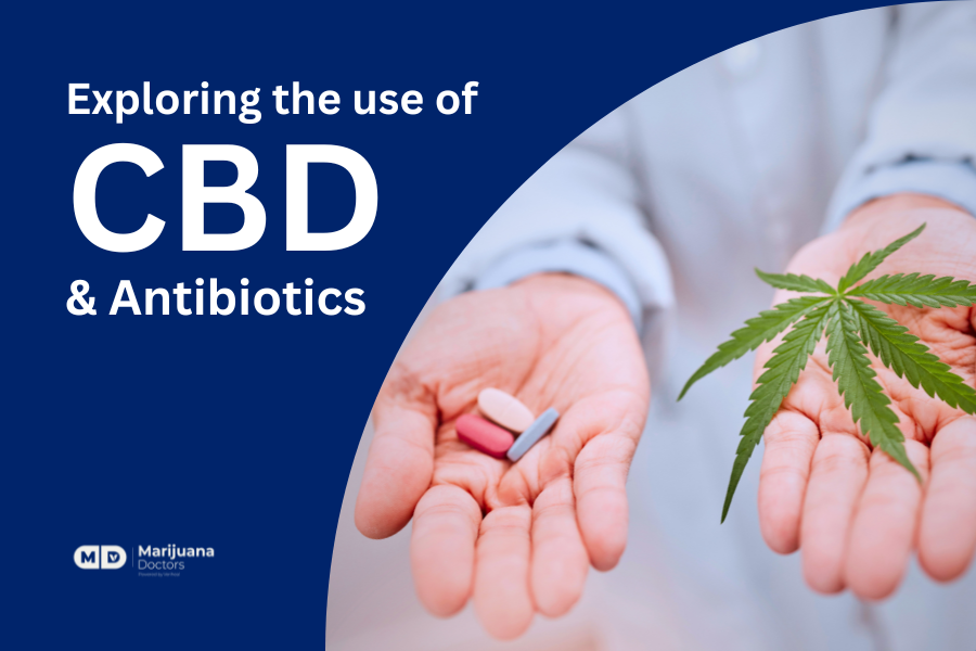 cbd and antibiotics