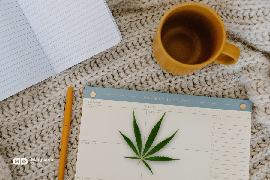 Keeping a Medical Cannabis Journal: Tips for Tracking Consumption