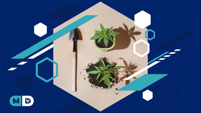 Hemp Homes: the Emerging Sustainable Housing Trend
