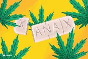 Can You Combine Xanax (alprazolam) and Cannabis?