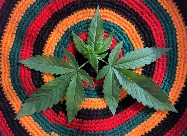 Everything You Need To Know About Psychedelic Cannabis