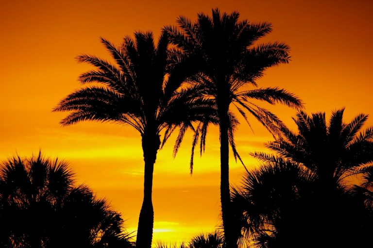 How To Get A Medical Card In Florida If You Are Seasonal