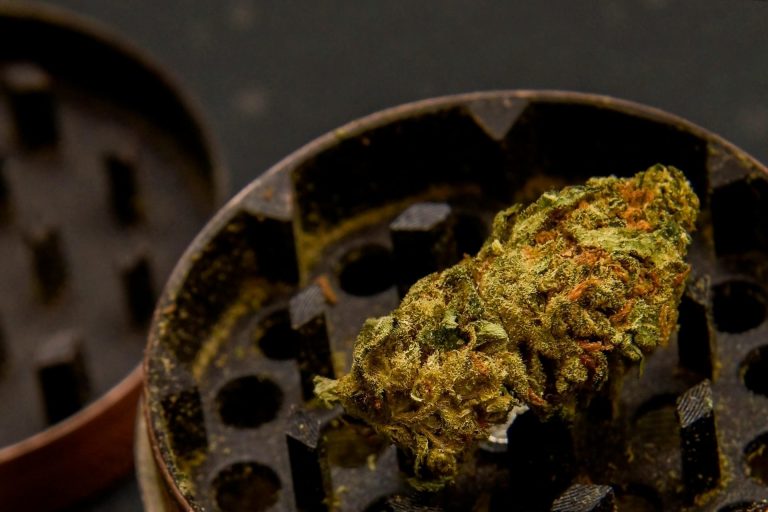 Everything You Need To Know About Seeded Cannabis Buds