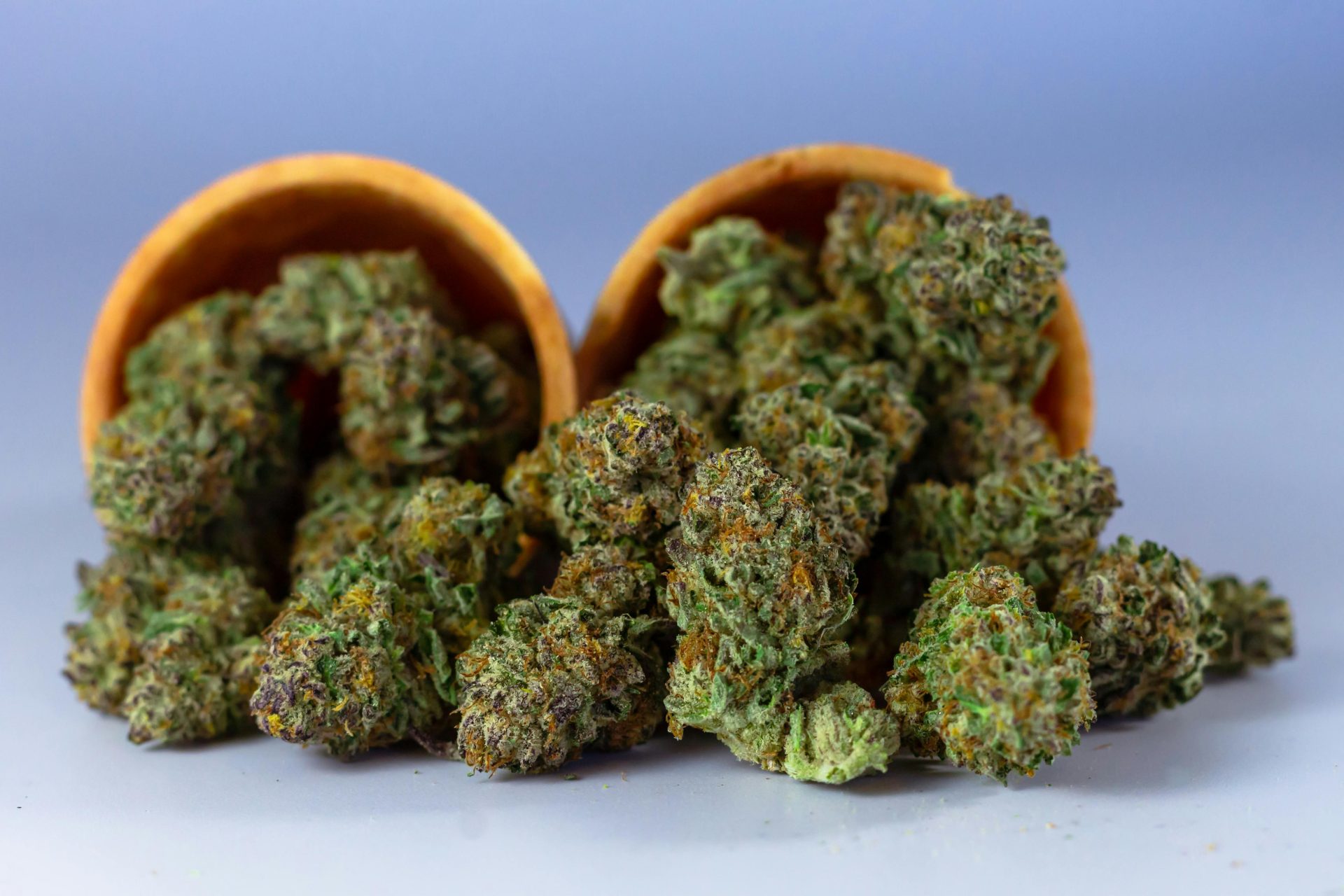 Sativa vs. Indica: What to Expect Across Cannabis Types and Strains