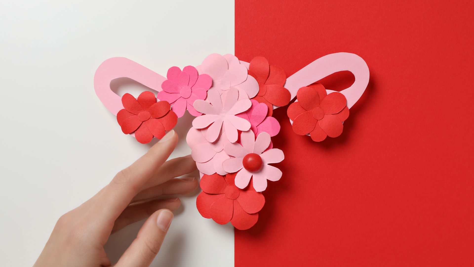 menopause and endometriosis