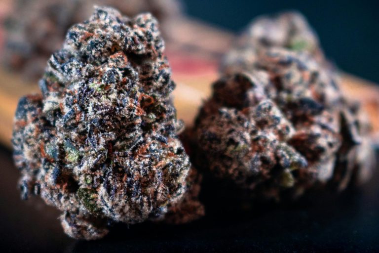 Blueberry Crack Strain 