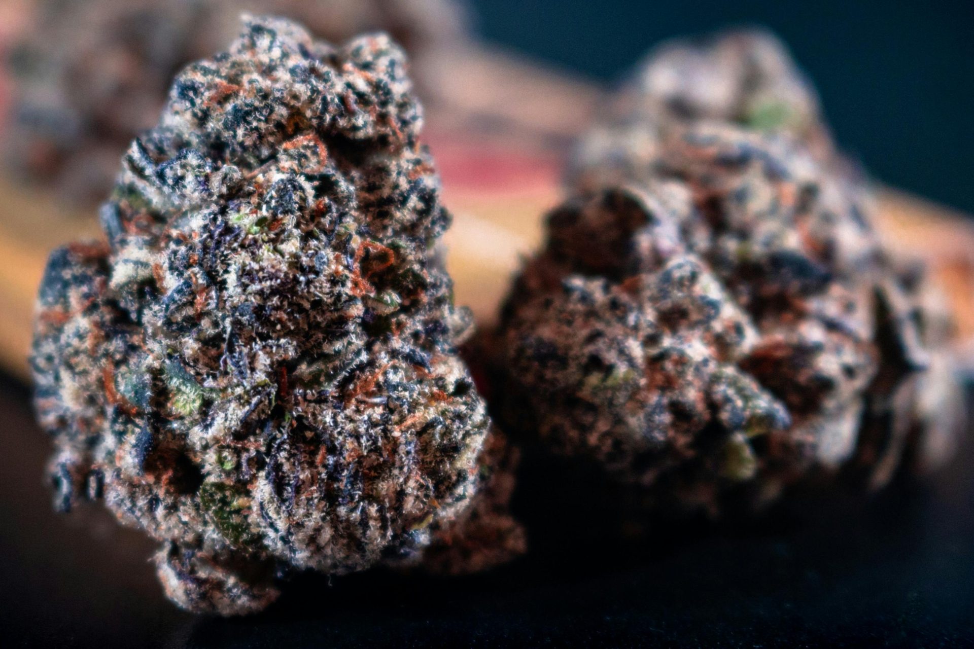 Blueberry Crack Strain 
